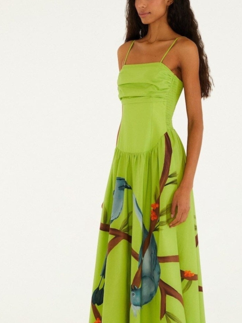 FARM Rio Lime Green Maxi Dress with Blue Bird Print - Picture 4 of 5